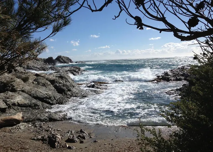 Nocleg ze śniadaniem Batelo Six-Fours-les-Plages